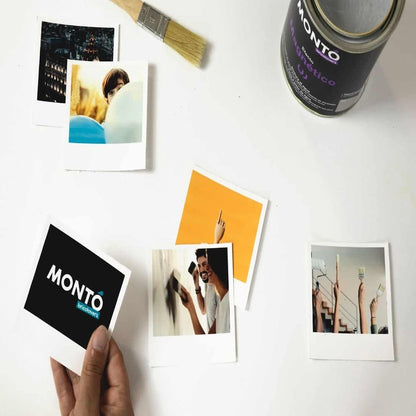 Vopsea cu Efect Magnetic pentru pereti din beton, tencuiala, lemn dupa grunduire, Monto, 750ml