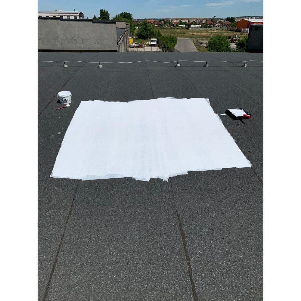 Thermal insulating paint for roofs, Nano SurfaPaint ThermoDry Roof